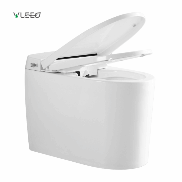 smart toilet bidet