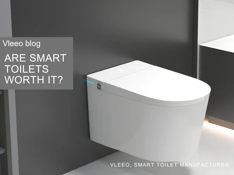 Are smart toilets worth it