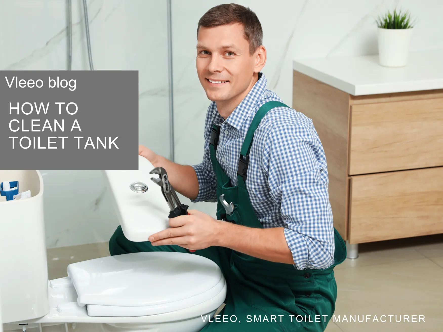 how to clean a toilet tank