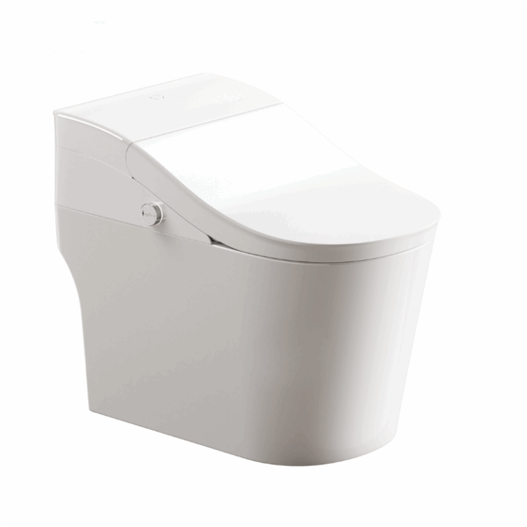 chinese smart toilet