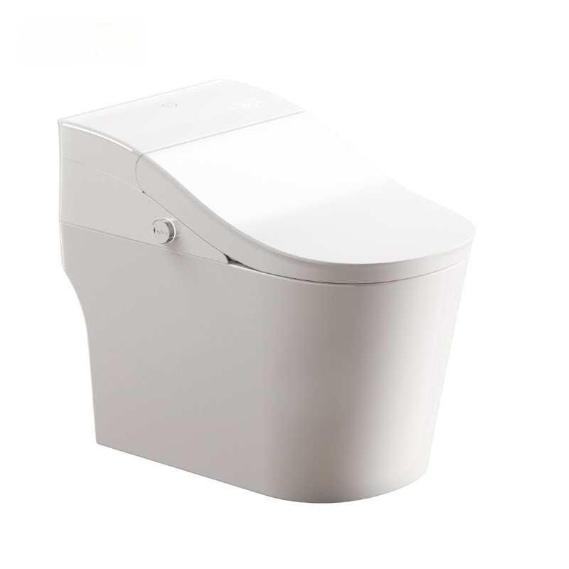 chinese smart toilet