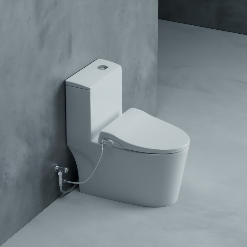 non electric bidet seat CL-A101U 