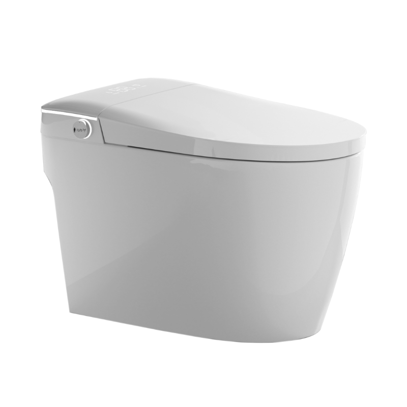 smart flush toilet