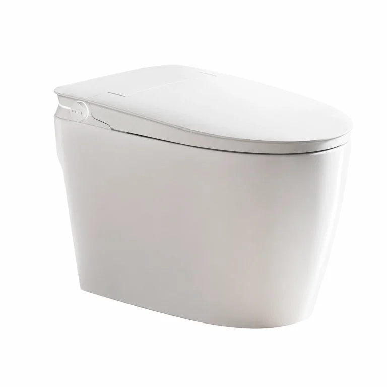 smart toilet with built-in tank