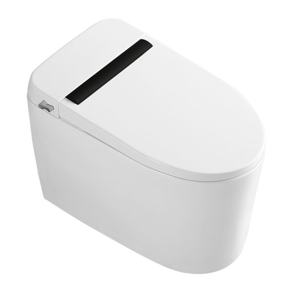 smartes Toiletten-Bidet CL-619