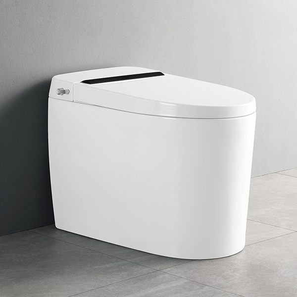 smartes Toiletten-Bidet CL-619
