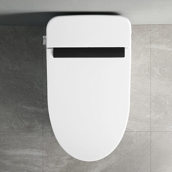 smartes Toiletten-Bidet CL-619