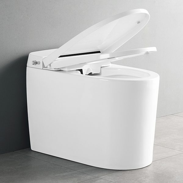 smartes Toiletten-Bidet CL-619