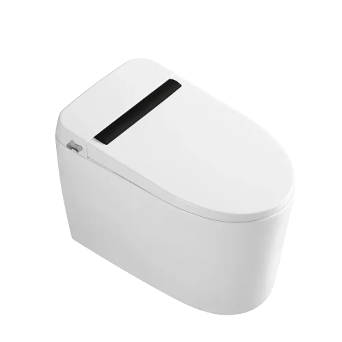 non-electronic smart toilet