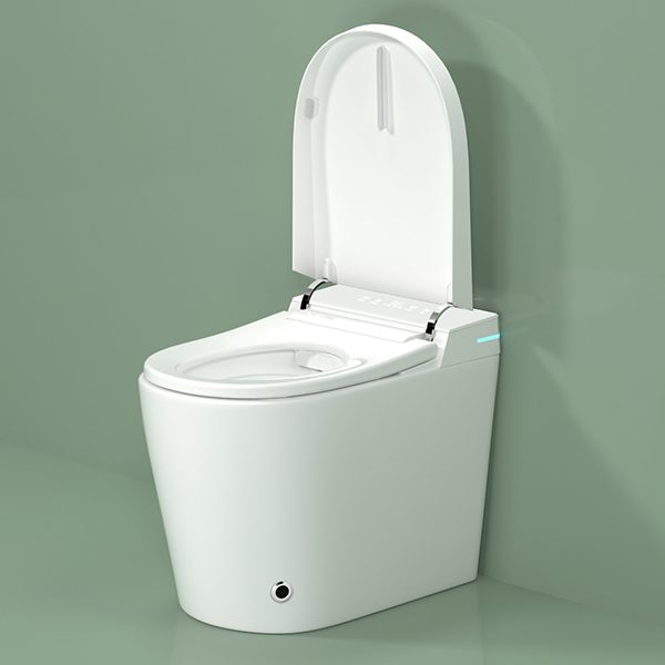 smart toilet wholesaler CL-620