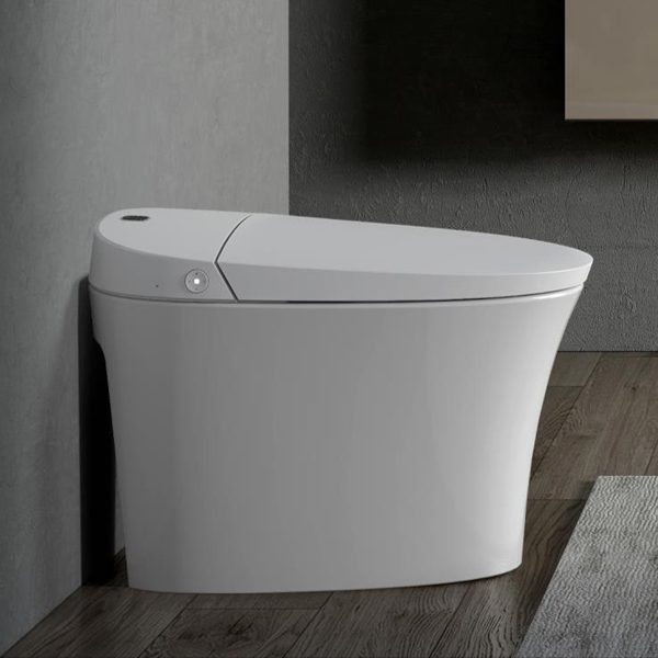 China Smart WC CL-627