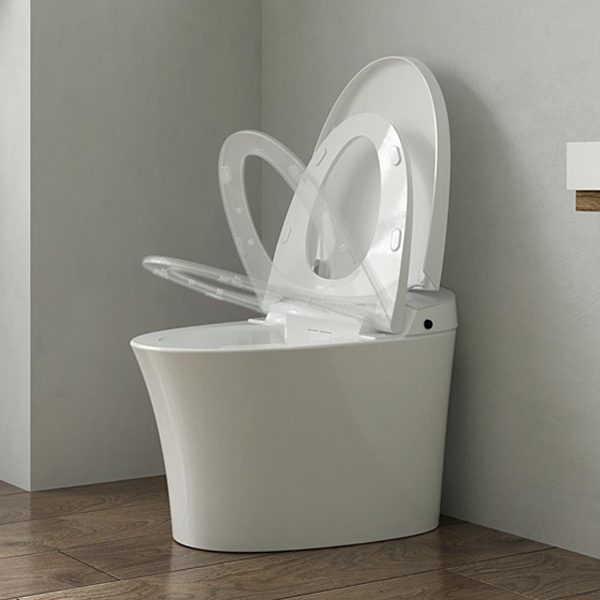 China Smart WC CL-627