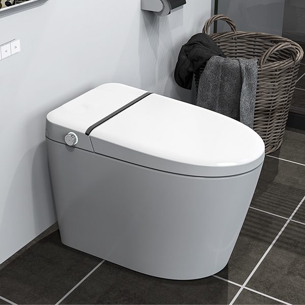Smart WC Wholesale CL-631