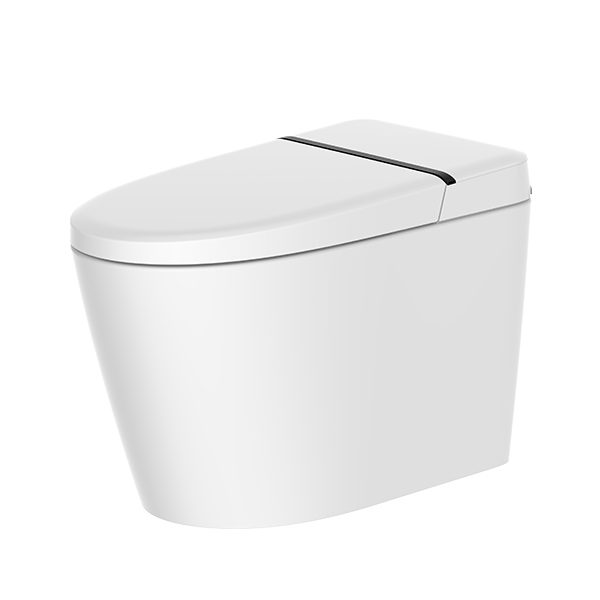 Smart WC Wholesale CL-631