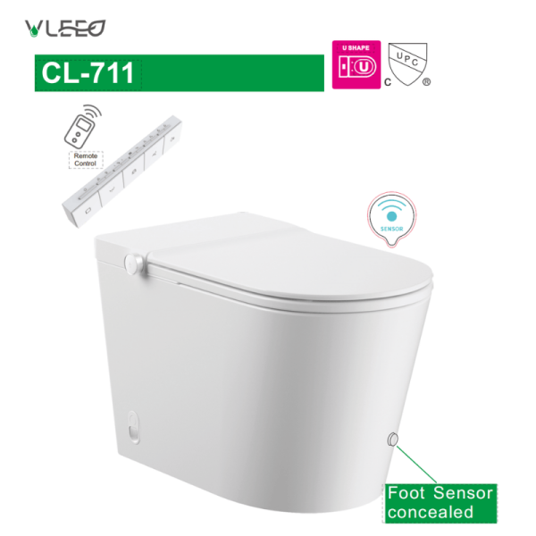 toilettes intelligentes avec bidet