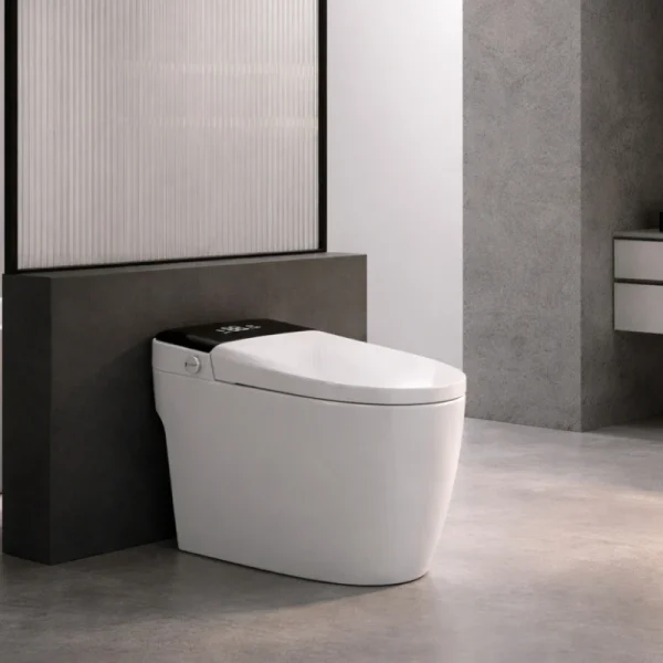 Non-Electric Smart Toilet
