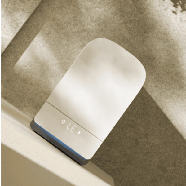 Rimless Smart Toilet with Bidet