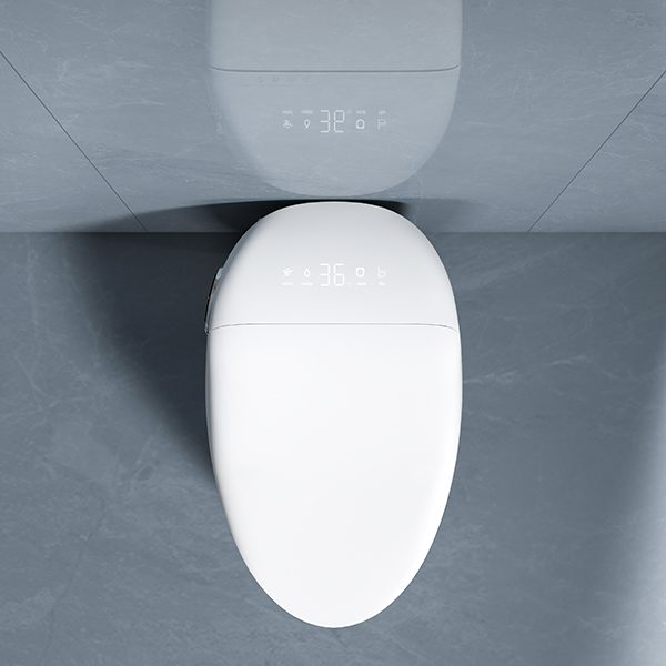 Smart Toilet OEM Manufacturer CL-612
