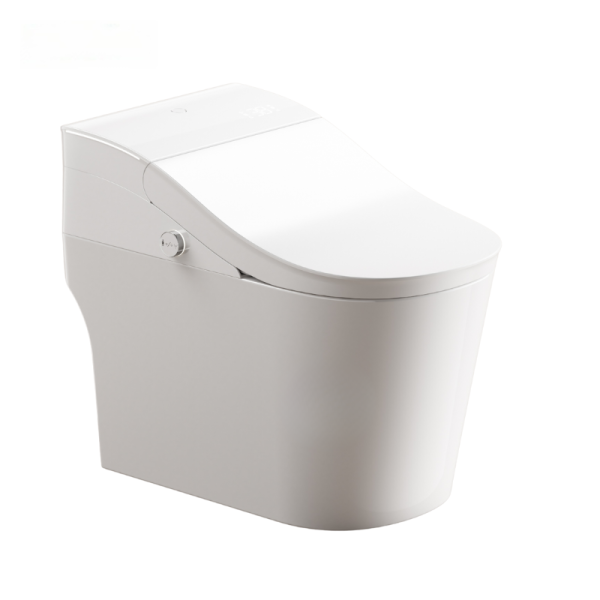 Chinese smart toilet