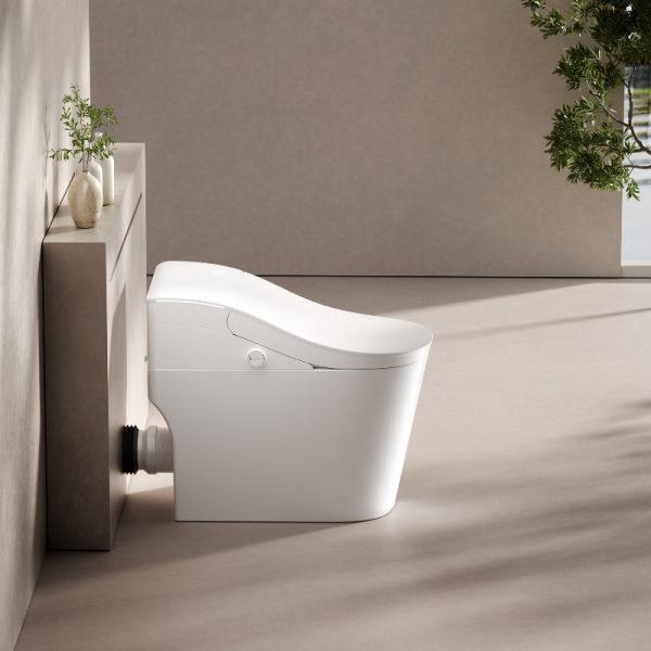 Chinese smart toilet